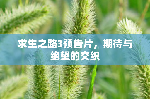 求生之路3预告片图片