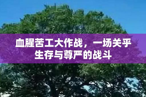 一场关乎生存与尊严的战斗图片