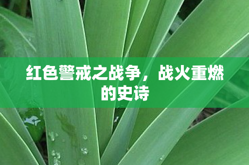 红色警戒之战争图片