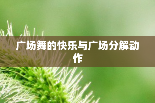 广场舞的快乐与广场分解动作图片