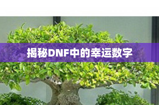 揭秘DNF中的幸运数字图片