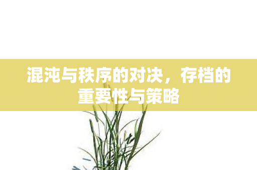 存档的重要性与策略图片