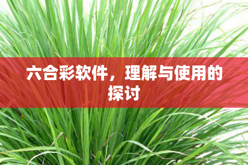 理解与使用的探讨图片