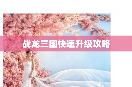 战龙三国快速升级攻略图片