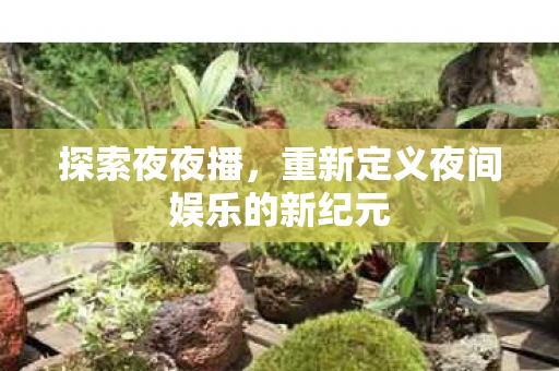 重新定义夜间娱乐的新纪元图片