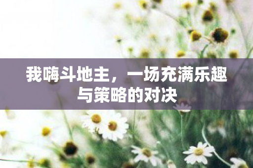 一场充满乐趣与策略的对决图片