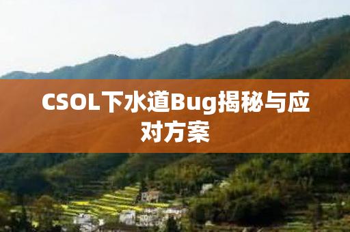 CSOL下水道Bug揭秘与应对方案图片