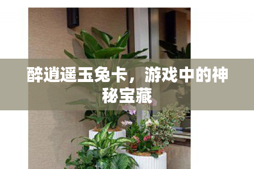 游戏中的神秘宝藏图片