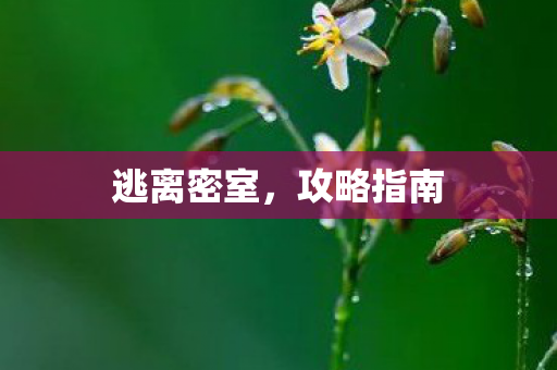 逃离密室图片