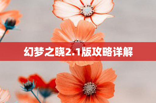 1版攻略详解图片