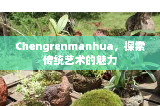 Chengrenmanhua图片