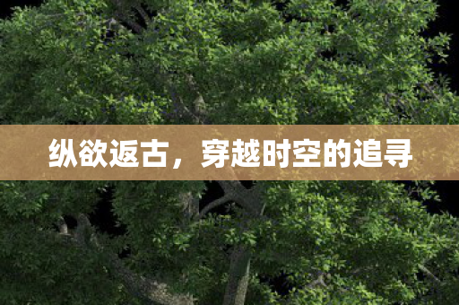 穿越时空的追寻图片