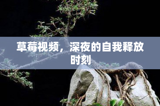 深夜的自我释放时刻图片