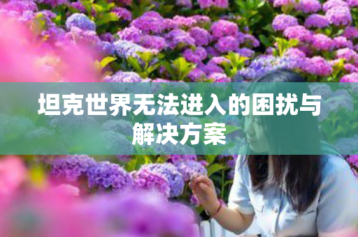 坦克世界无法进入的困扰与解决方案图片
