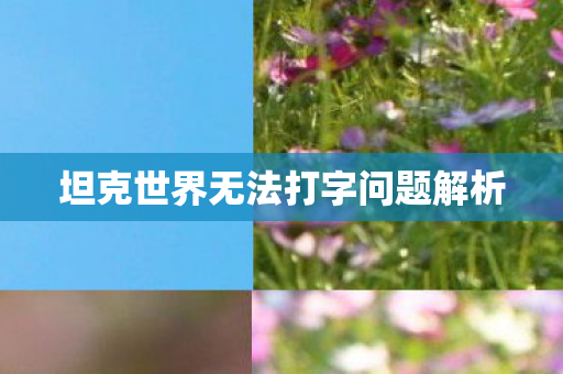 坦克世界无法打字问题解析图片