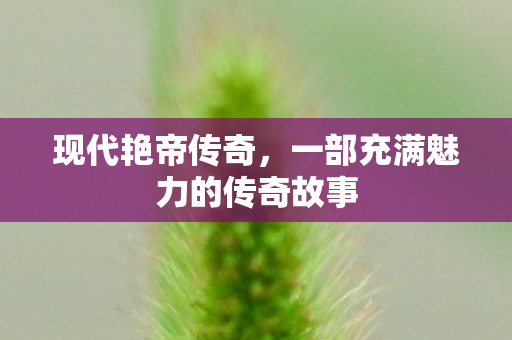 一部充满魅力的传奇故事图片