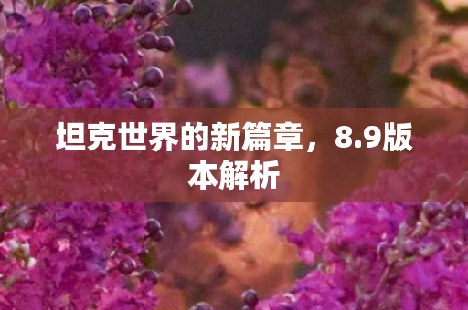 坦克世界的新篇章图片