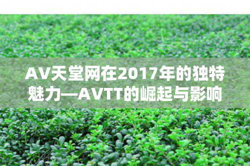 AV天堂网在2017年的独特魅力图片