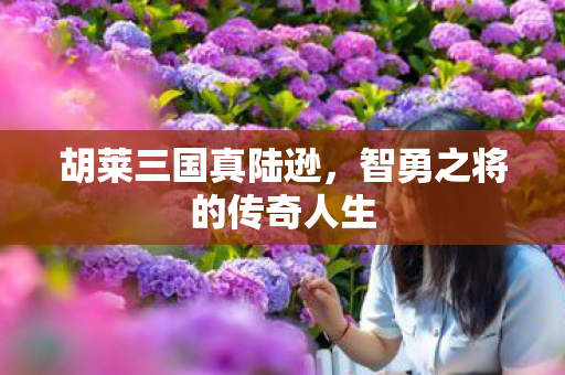 智勇之将的传奇人生图片