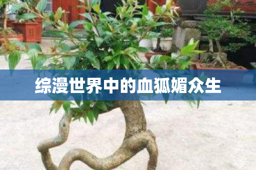 综漫世界中的血狐媚众生图片