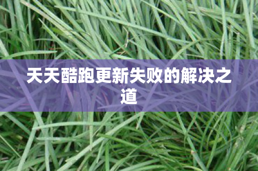 天天酷跑更新失败的解决之道图片