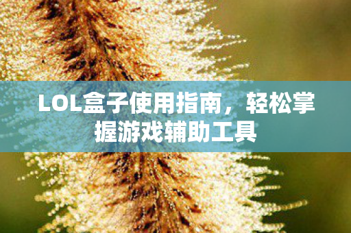 轻松掌握游戏辅助工具图片