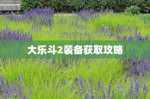 大乐斗2装备获取攻略图片