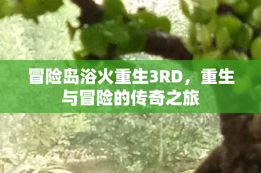 冒险岛浴火重生3RD图片