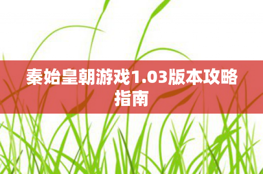03版本攻略指南图片
