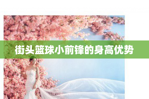 街头篮球小前锋的身高优势图片