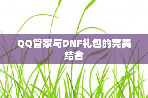 QQ管家与DNF礼包的完美结合图片
