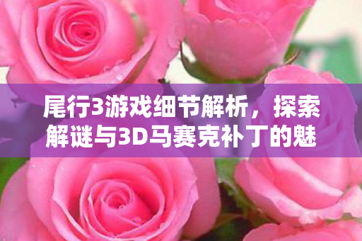 探索解谜与3D马赛克补丁的魅力图片