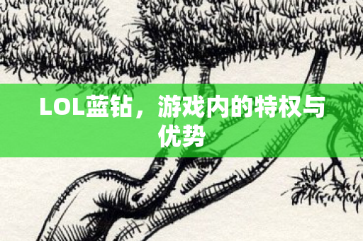 游戏内的特权与优势图片