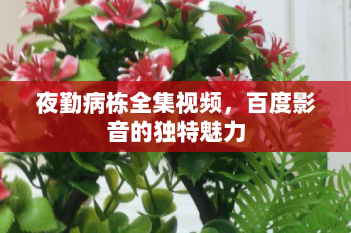 百度影音的独特魅力图片