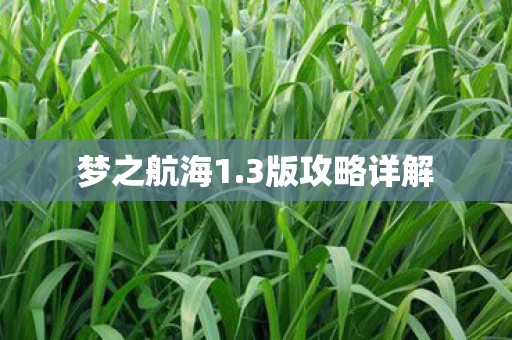3版攻略详解图片