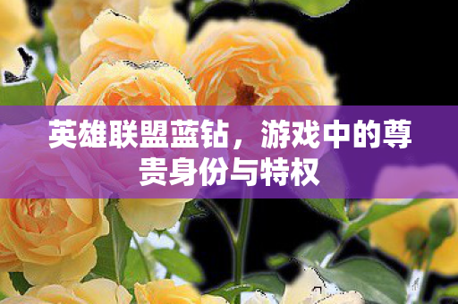 游戏中的尊贵身份与特权图片