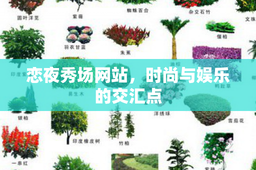 时尚与娱乐的交汇点图片