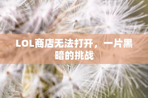 LOL商店无法打开图片