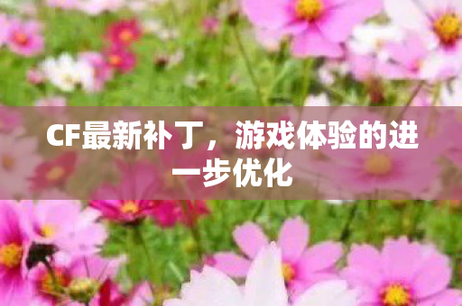 游戏体验的进一步优化图片