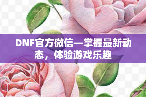 DNF官方微信图片