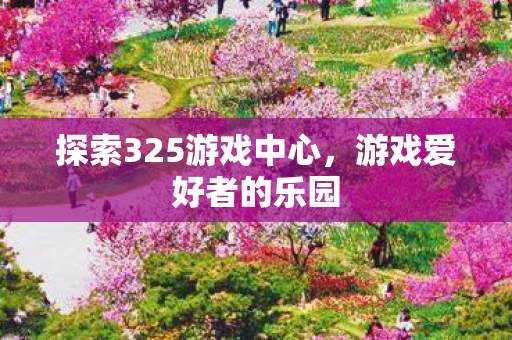 探索325游戏中心图片