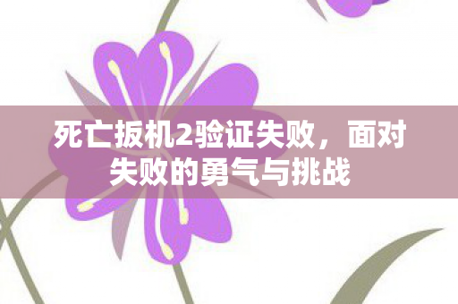 面对失败的勇气与挑战图片