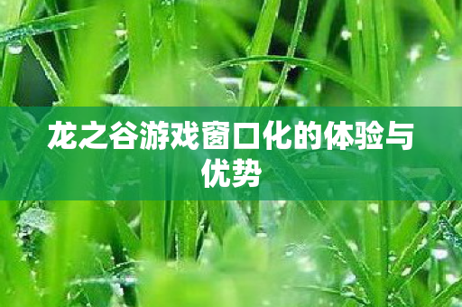 龙之谷游戏窗口化的体验与优势图片