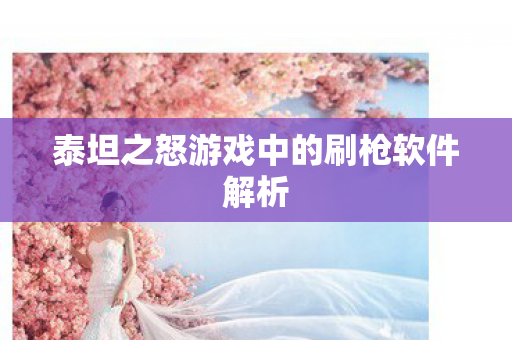 泰坦之怒游戏中的刷枪软件解析图片