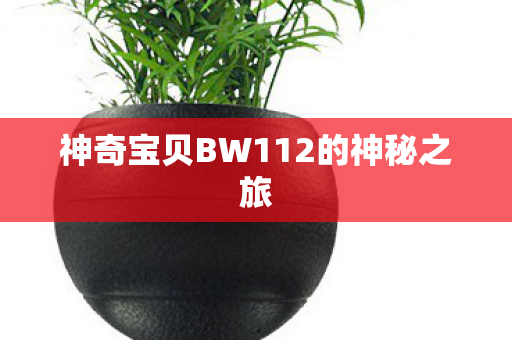 神奇宝贝BW112的神秘之旅图片