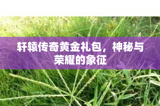 轩辕传奇黄金礼包图片
