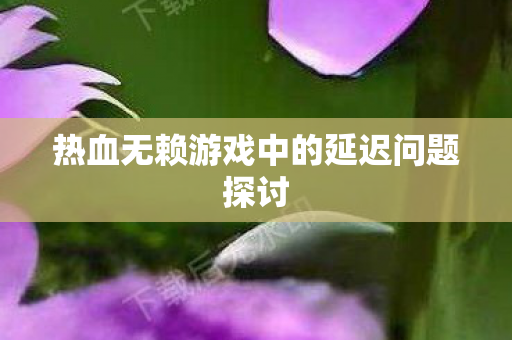 热血无赖游戏中的延迟问题探讨图片