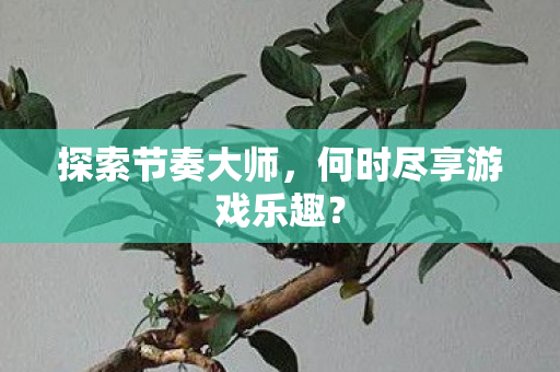 何时尽享游戏乐趣图片