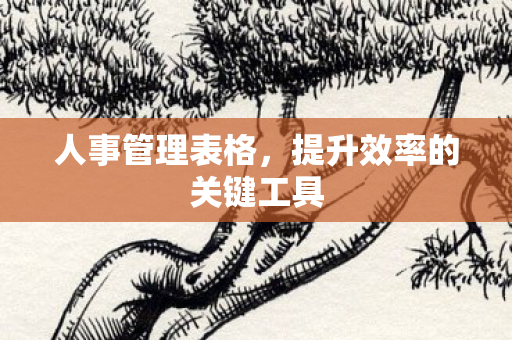 提升效率的关键工具图片