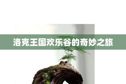 洛克王国欢乐谷的奇妙之旅图片